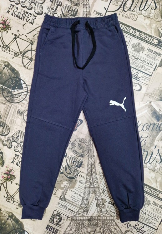 спортивные брюки с начесом( 9-12лет) спортивные брюки с начесом( 9-12лет)