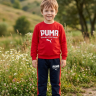 костюм с начесом 5-8 лет костюм с начесом 5-8 лет